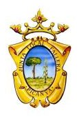 Insignia_Pincanya